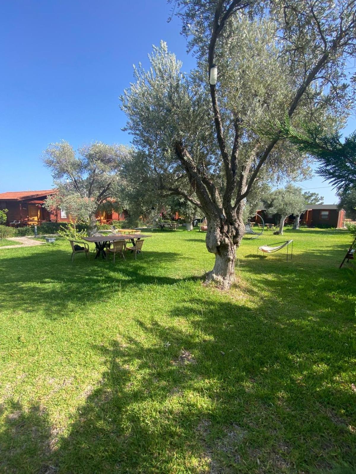 Suzi'Nin Bahcesi Bungalov Evler Datça Exterior foto